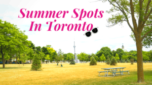 Best Summer Spots In Toronto