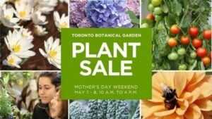 Celebrate Mother's Day 2022- Toronto Botanical Garden