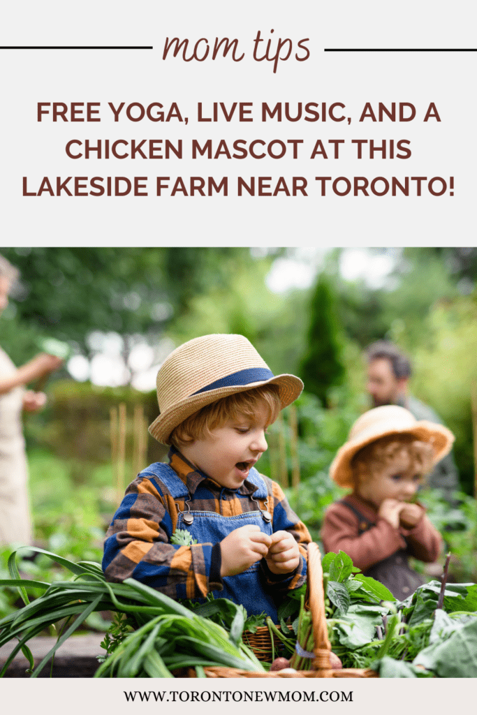 Free Yoga, Live Music, and a Chicken Mascot at this Lakeside Farm near Toronto!
