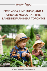 Free Yoga, Live Music, and a Chicken Mascot at this Lakeside Farm near Toronto!