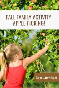 fall family activity apple picking!