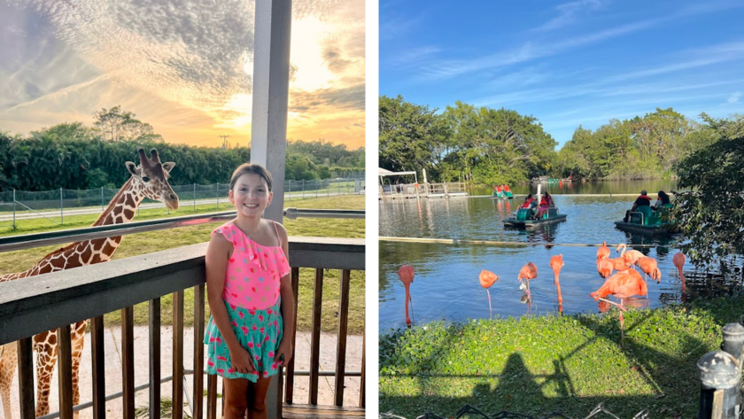 Things to Do in West Palm Beach with Kids-Lion Country Safari